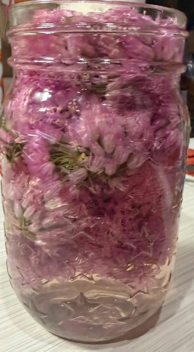 Chive Blossom Vinegar